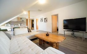 Apartments Osijek By The River